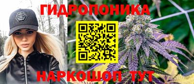 прущие грибы Первоуральск