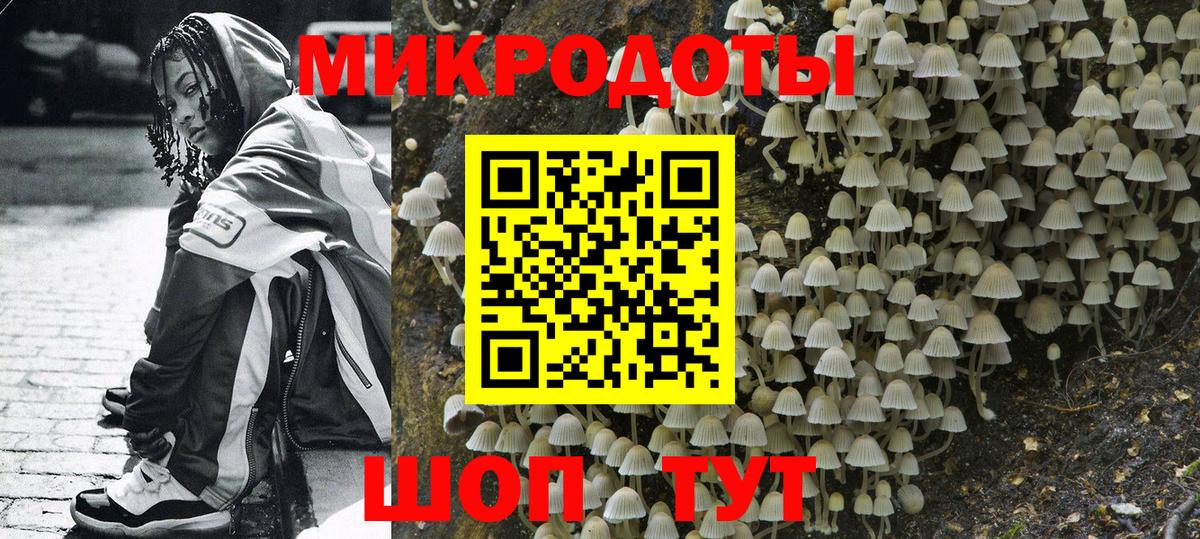 Родники  Галлюциногенные грибы Psilocybine cubensis  Галлюциногенные грибы прущие грибы  Вход с VPN 